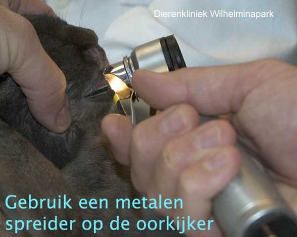 Een beknspectie bij het konijn door middel van een metalen spreider op de oorkijker